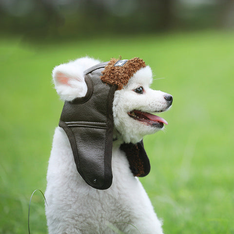 New Autumn Winter Pet Clothes