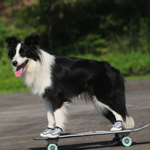 Wear-Resistant Pet Shoes