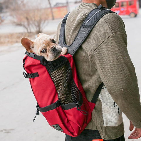 Pet Travel Backpack Carrier