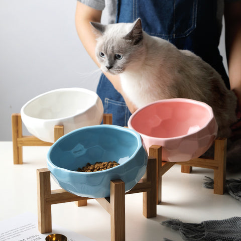 Slanted Food Bowl for Pets