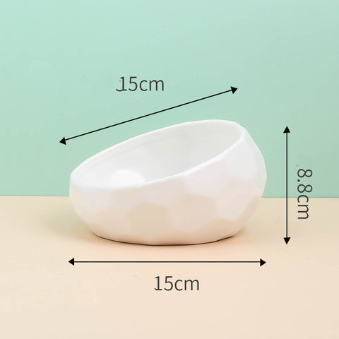 Ceramic Slanted Bowl for Pets