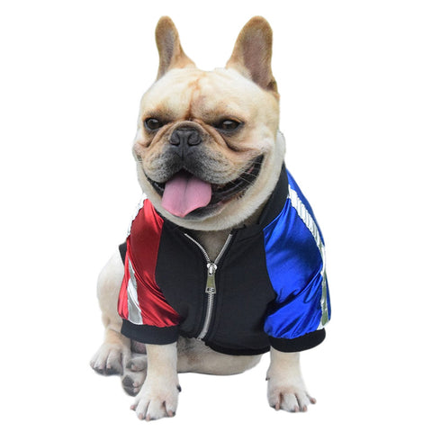 Spring Dog Jacket for Pets