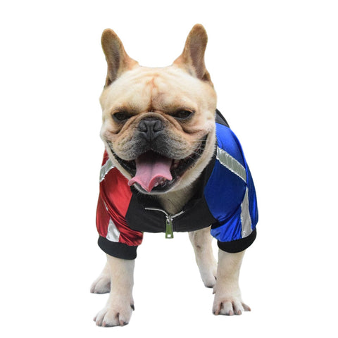 Spring Dog Jacket for Pets