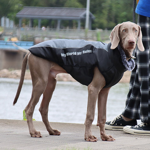 Warm Winter Pet Jacket