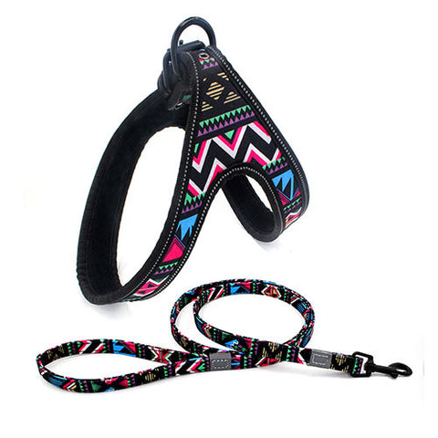 Colorful Dog Walking Rope