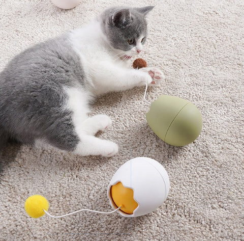 Fun Interactive Cat Toys