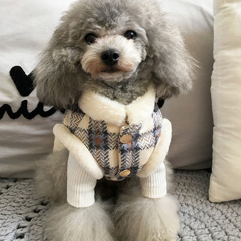 Cute Cotton Coat for Pets