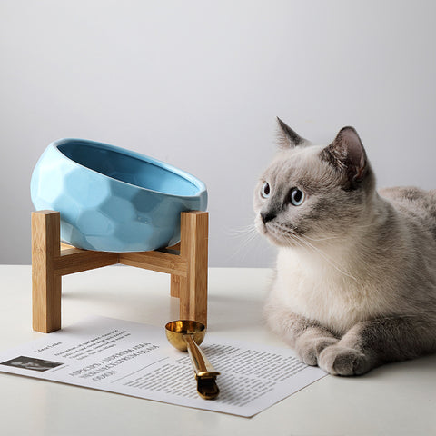 Slanted Food Bowl for Pets