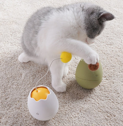 Fun Interactive Cat Toys