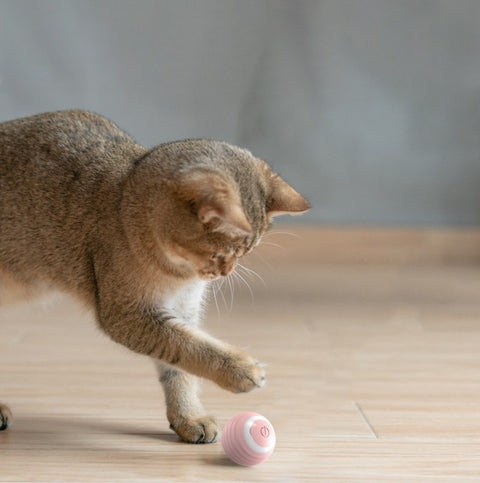 Bouncing Smart Toy Ball for Cats