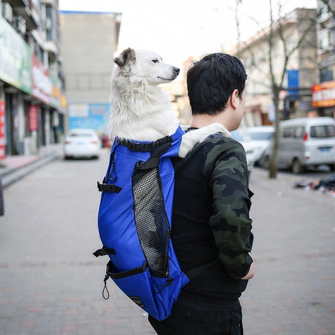 Pet Travel Backpack Carrier