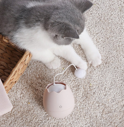 Fun Interactive Cat Toys