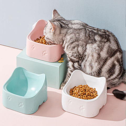 Stylish Ceramic Pet Bowl