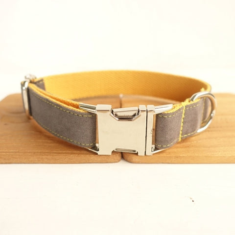 Retractable Dog Collar Belt