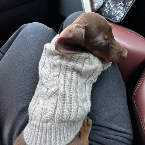 Winter Pet Warm Clothes