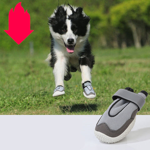 Wear-Resistant Pet Shoes