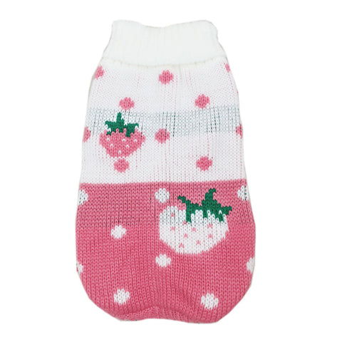 Fashionable Winter Pet Clothes