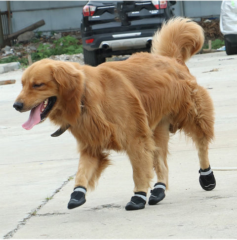 Wear-Resistant Pet Shoes