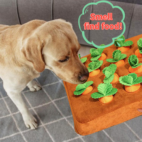 Plush Vegetable Dog Chew Toy